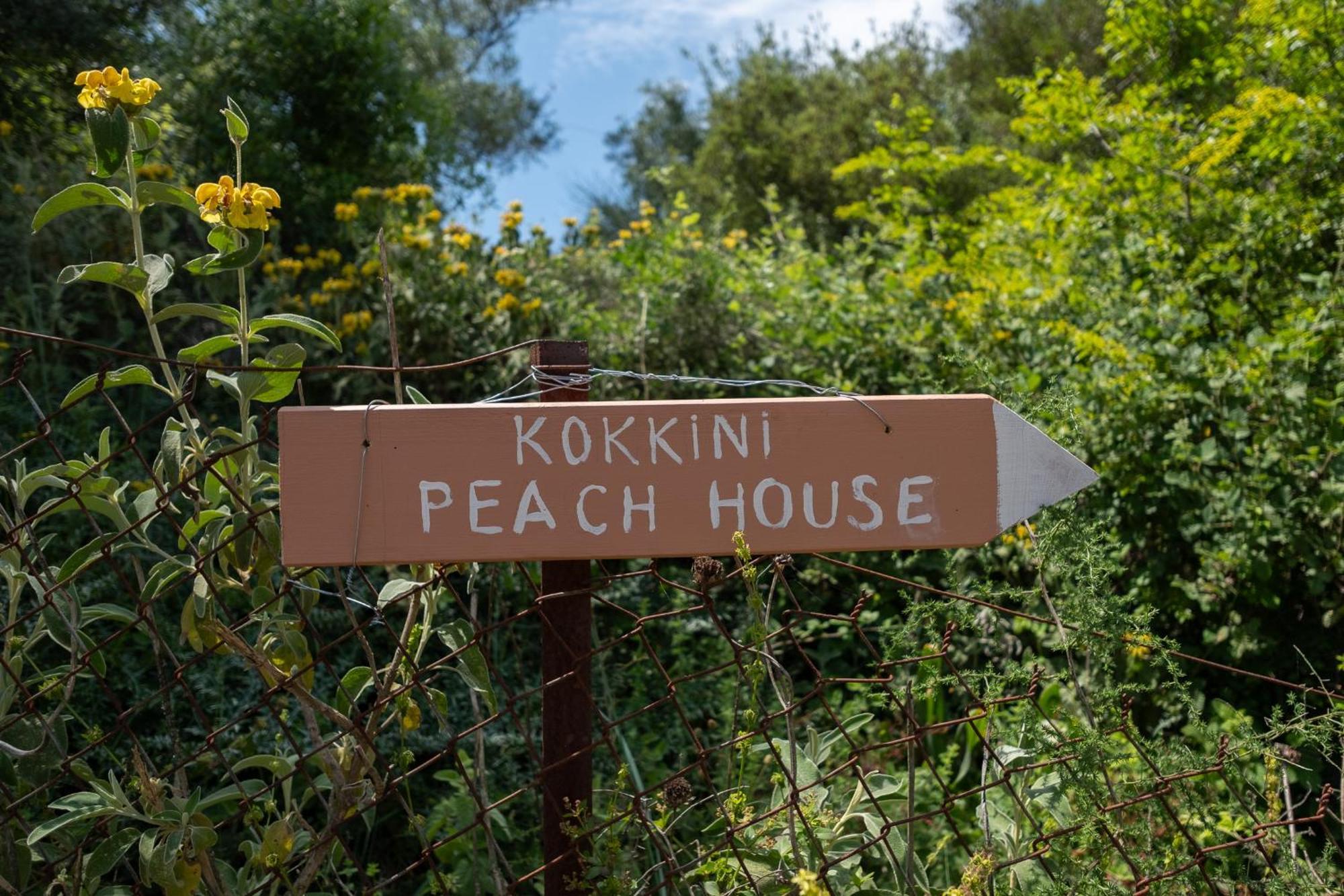 Appartement Kokkini Peach House à Kokkínion Extérieur photo